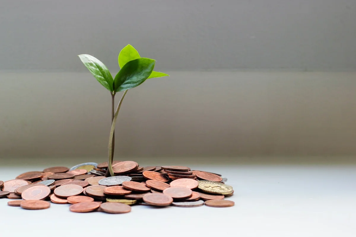 Increase earnings with RightBack paid replies and subscription channels